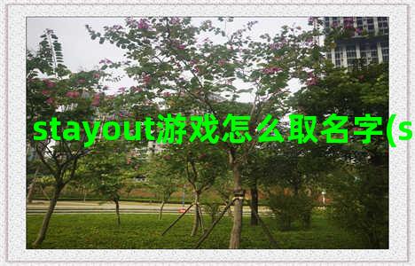 stayout游戏怎么取名字(stay out游戏)